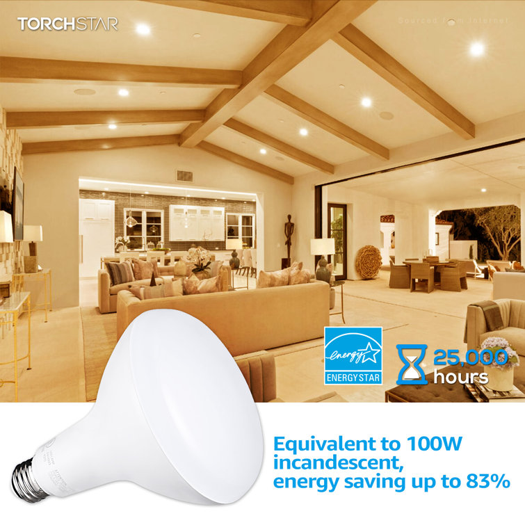 TORCHSTAR BR40 LED Dimmable Light Bulb 17W 100W Eqv 1400